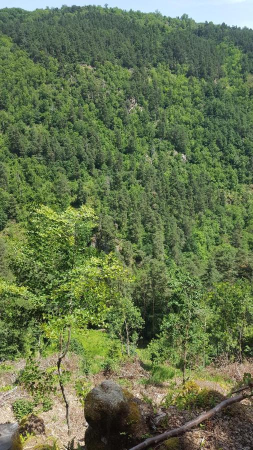 Se Reconnecter A La Nature Au Gite 3 Etoiles De Montager A Saint Andre De Chalencon Ngoại thất bức ảnh