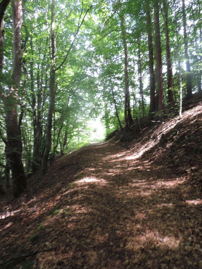 Se Reconnecter A La Nature Au Gite 3 Etoiles De Montager A Saint Andre De Chalencon Ngoại thất bức ảnh