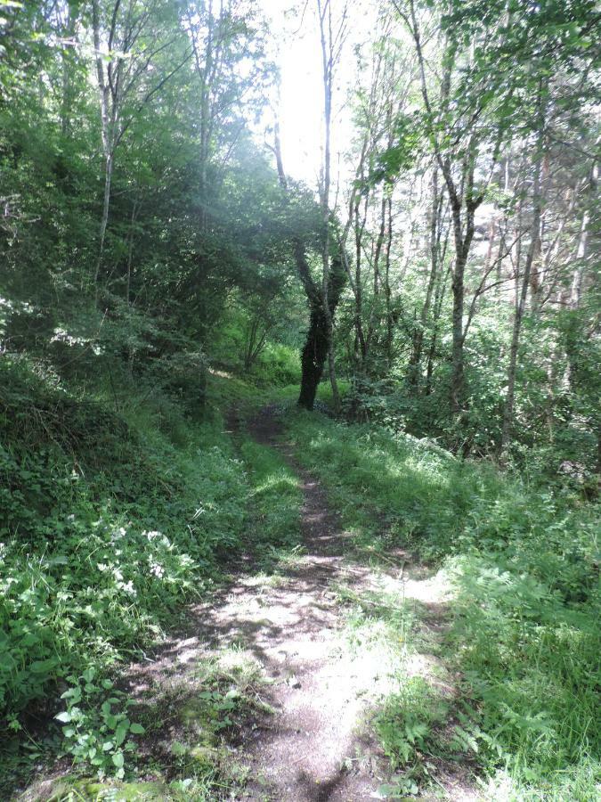 Se Reconnecter A La Nature Au Gite 3 Etoiles De Montager A Saint Andre De Chalencon Ngoại thất bức ảnh