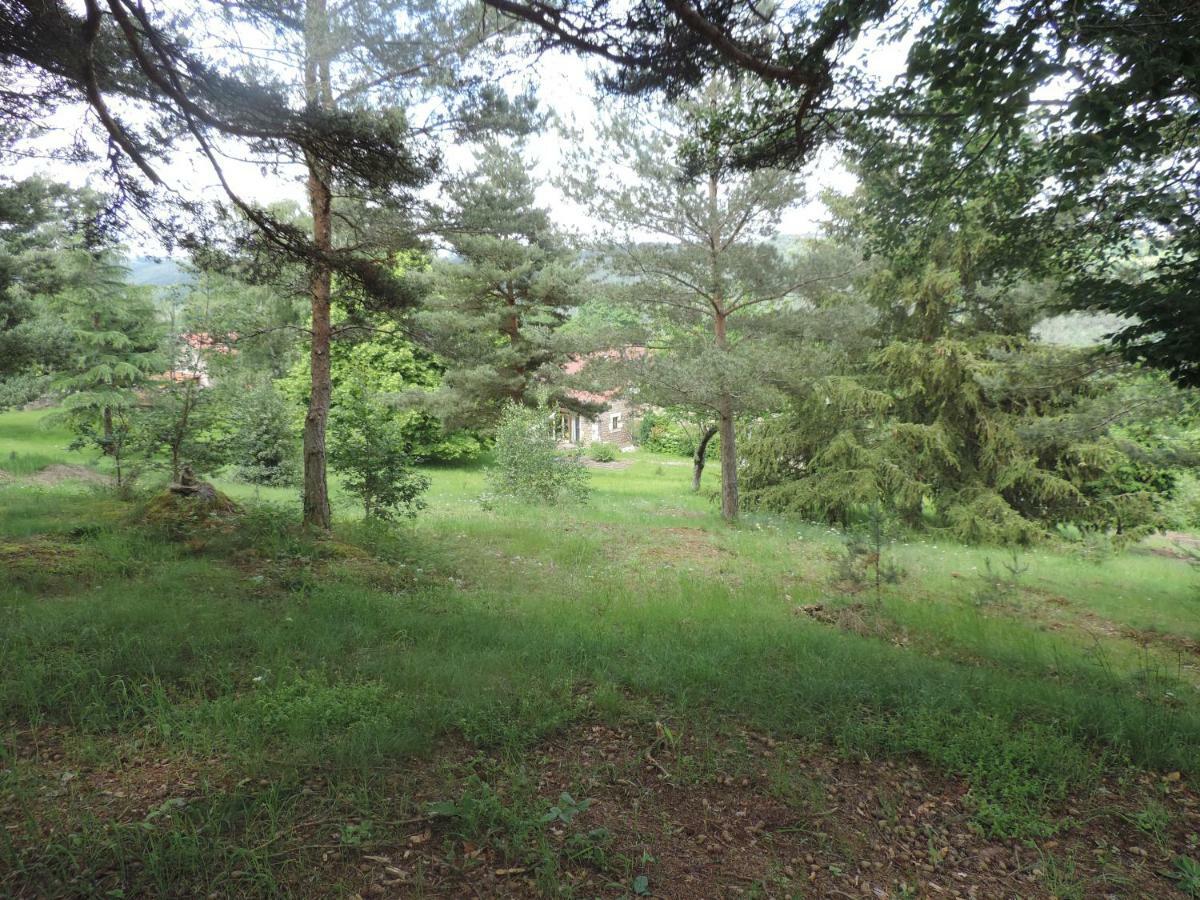 Se Reconnecter A La Nature Au Gite 3 Etoiles De Montager A Saint Andre De Chalencon Ngoại thất bức ảnh