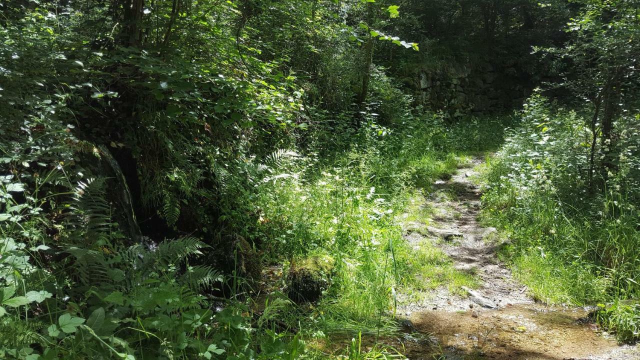 Se Reconnecter A La Nature Au Gite 3 Etoiles De Montager A Saint Andre De Chalencon Ngoại thất bức ảnh